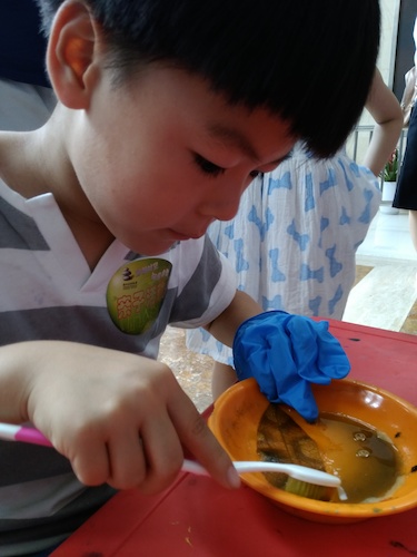 七月十号 黄色仓库
 B.D.服务社赴浙江自然博物馆”环保小课堂“小分队 刷刷刷，看我认真的刷叶子