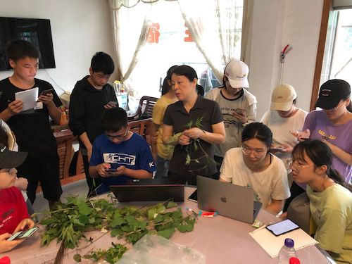 黄色仓库
181动植物野外实习