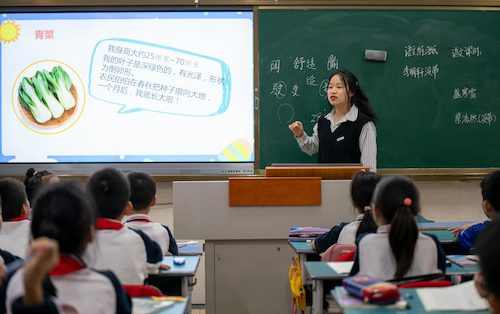 黄色仓库
学生给小学生讲课
