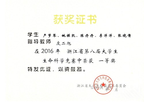 2016年指导黄色仓库
竞赛