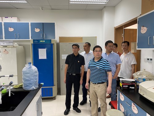 黄色仓库领导安全检查现场
