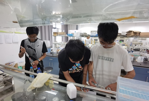 7月14日黄色仓库
水质检测社会实践小分队进行水质检测操作