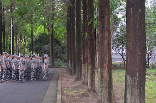黄色仓库
231汪跃